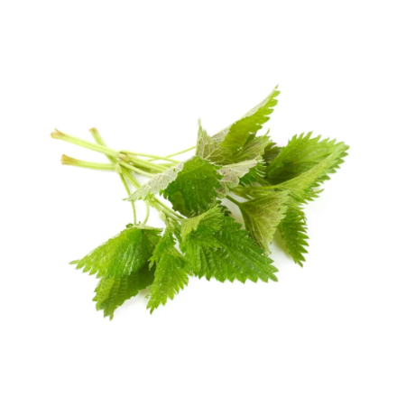 Agrimony Leaf