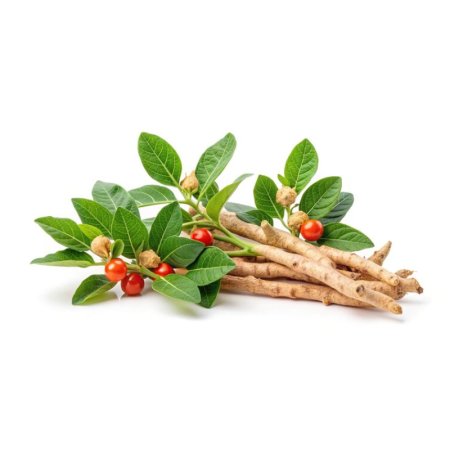 Ashwagandha Root