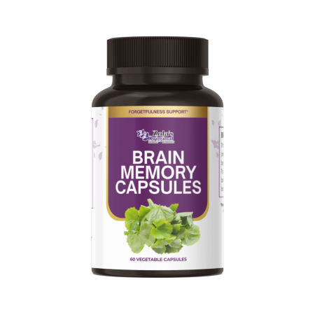 Brain Memory
