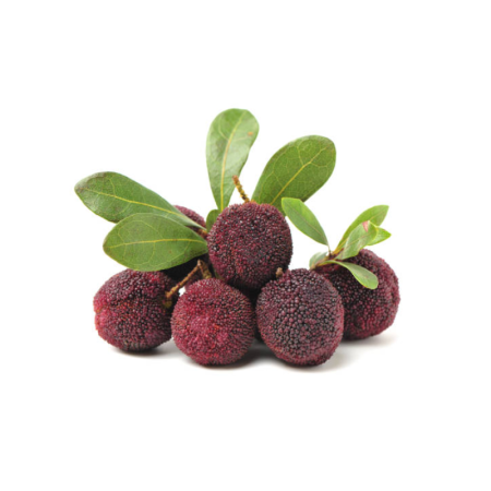 Bayberry Root